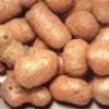 Керамзит будівельний різних (0-5,5-10, 10-20) фракції.