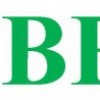 Поликарбонат сотовый "Berolux"
