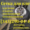 Сетка сварная оцинкованная для клеток