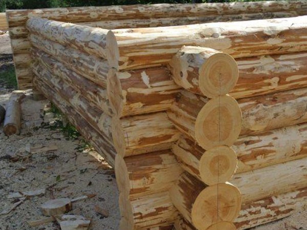 Из чего сделать открытку своими руками фото Из чего сделать открытку своими руками фото
