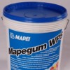 MAPEGUM WPS