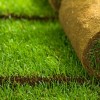 Устройство рулонного газона