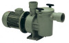 Насос Aral SP-3000 (Astralpool)