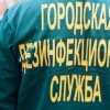 Дезинфекция в Севастополе