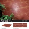 Плитка клинкер Paradyz