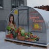 Теплица "Мария Делюкс"