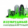 Живые изгороди из разных материалов