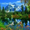 Фотообои 15 листов размер 242х207 в ассортименте